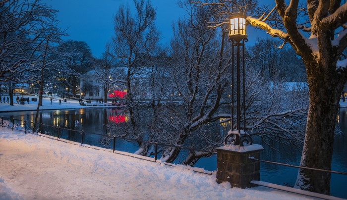 Winter scene with snow-covered trees and a pond in Stavanger, Norway