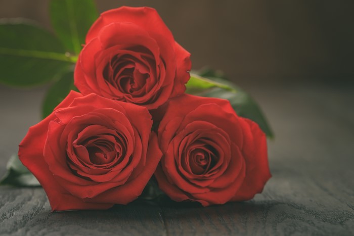 Three Red Roses on Dark Wood