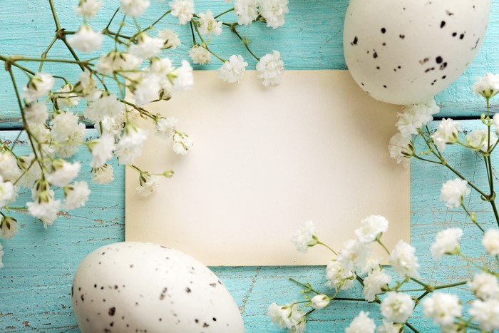 Easter eggs and white flowers on a blue wooden background with a card