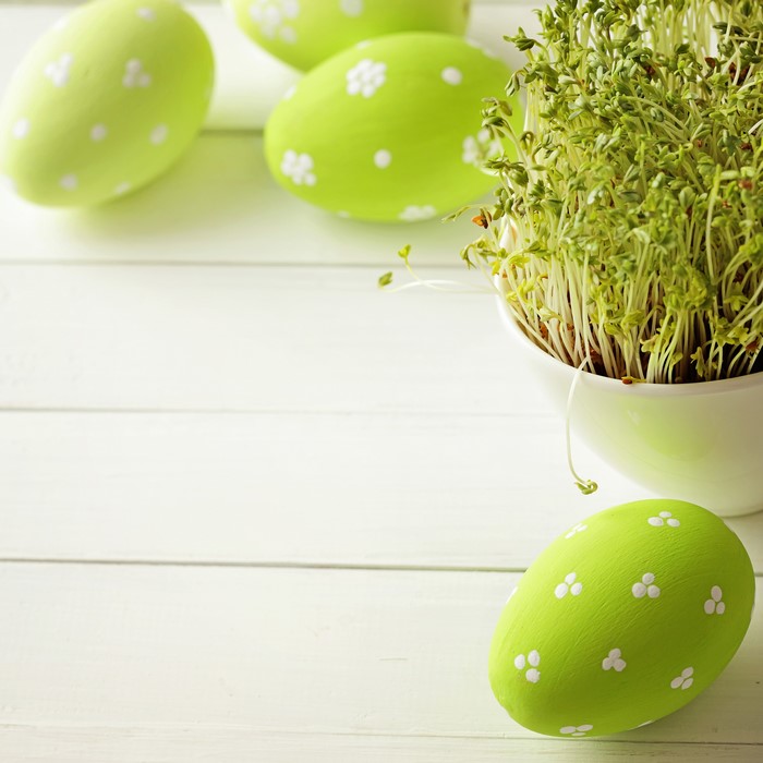 Easter eggs and cress on white wooden planks
