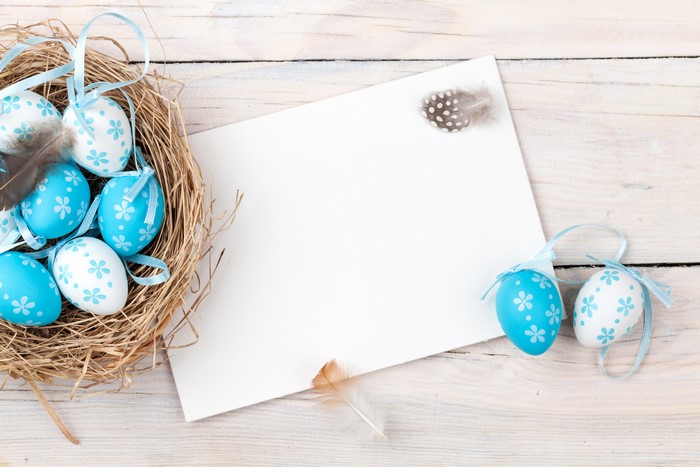Easter eggs in a nest with a blank card and feathers