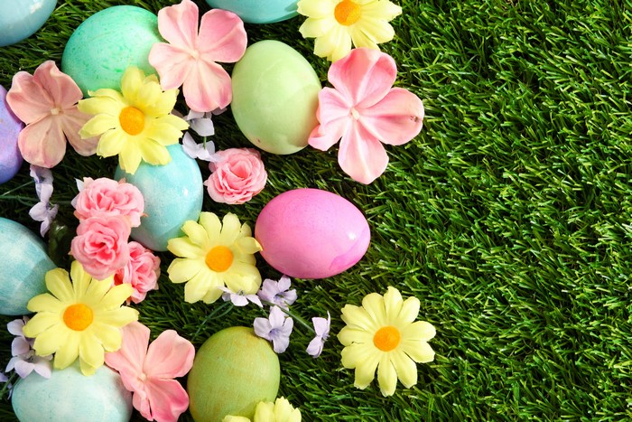 Easter eggs and flowers on grass