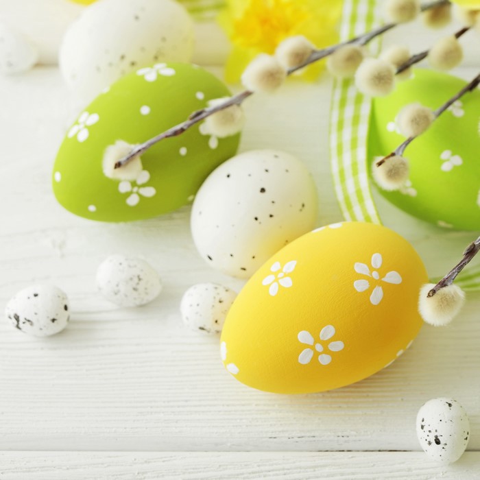 Easter eggs with pussy willow branches on wood