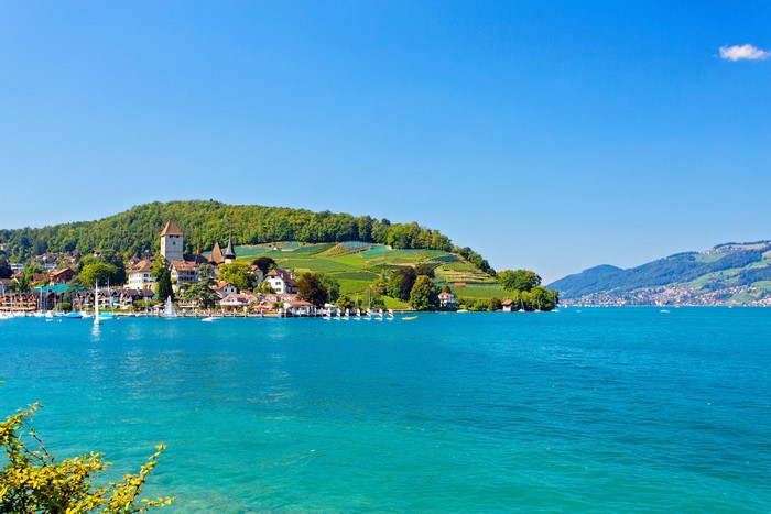 Lake Thun with houses and vineyards in Switzerland