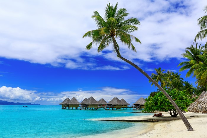 Bora Bora bungalows and palm trees over turquoise water