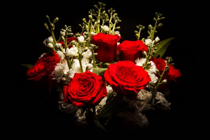 Bouquet of red roses and white matthiola flowers