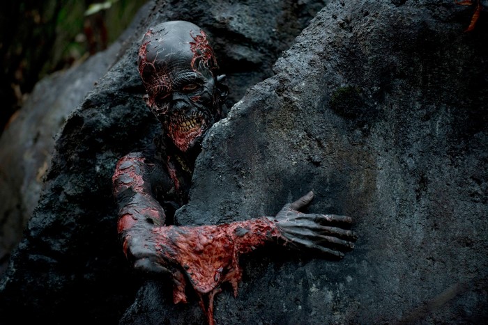 Zombie from The Walking Dead TV