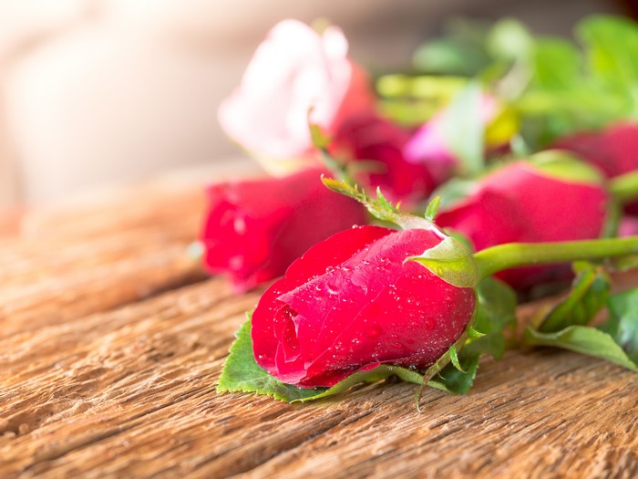 Red Roses on Wood Planks