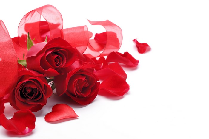 Three red roses with ribbon and petals
