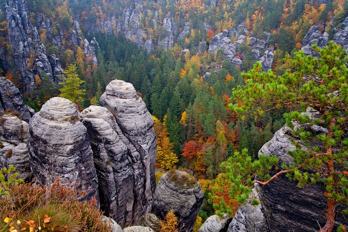 4K Autumn Scenery in Saxon Switzerland National Park, Germany