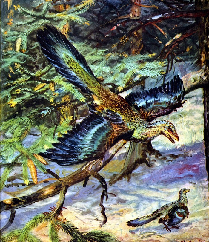 Archaeopteryx lithographica in a prehistoric forest by Zdenek Burian