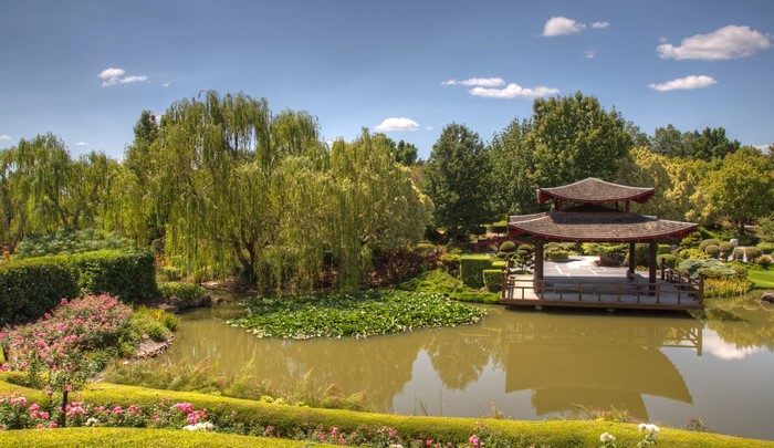 Japanese Garden with Pagoda and Pond in Australia
