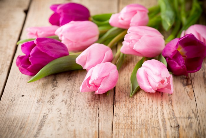 Pink and purple tulips on wood planks