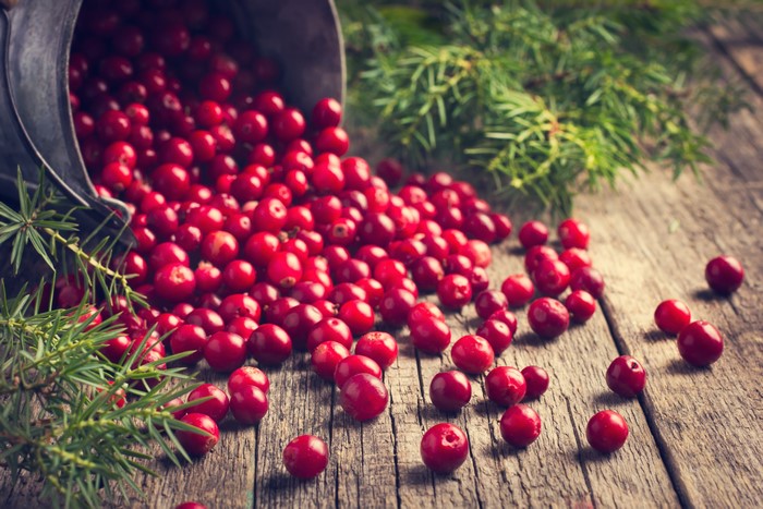 4K Cranberries and Juniper on Wood Planks