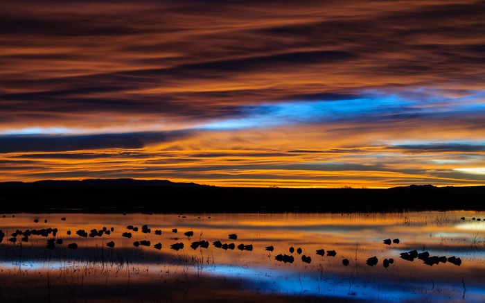 Sunset over a lake with birds