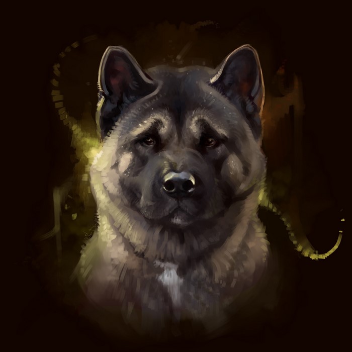 Painting of an American Akita dog
