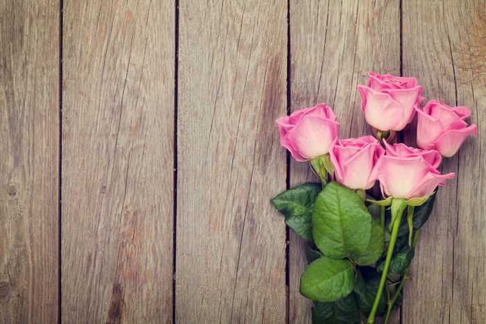 Pink Roses on Wood Planks