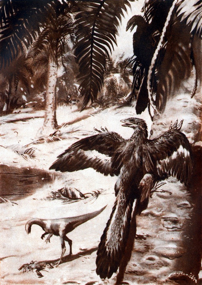 Archaeopteryx and Compsognathus in prehistoric forest by Zdenek Burian