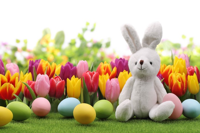 Easter Bunny with Tulips and Eggs on Grass