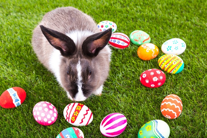 Easter bunny and decorated eggs on grass