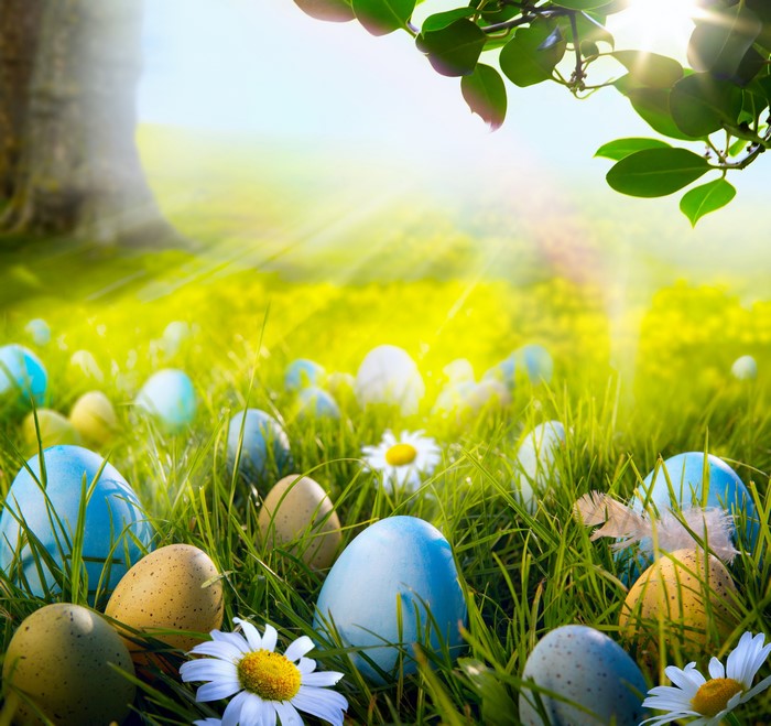 Easter eggs and daisies in a sunny meadow