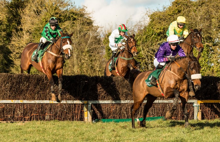 Horse race jump over a hurdle