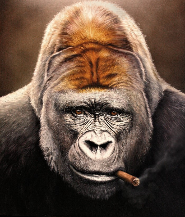 Gorilla smoking a cigar