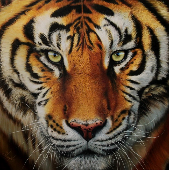 Close-up painting of a tiger's face