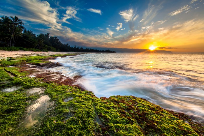 Sunset over the ocean coast of Hawaii with waves crashing on mossy rocks