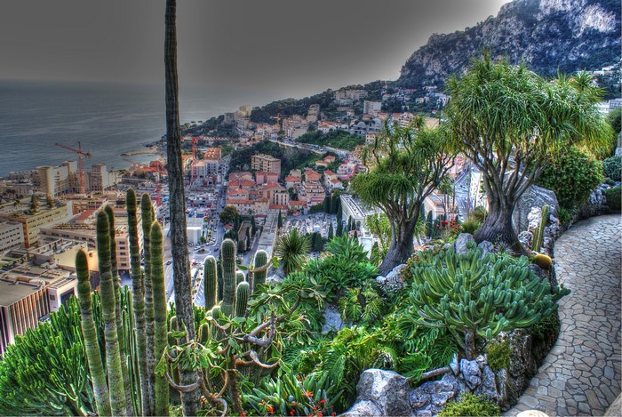 View of Monaco from a cactus garden