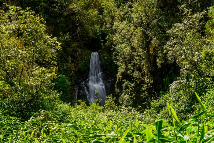 Waterfall in Reunion, France