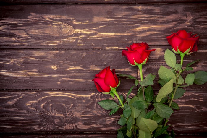 Three Red Roses on Dark Wood Planks