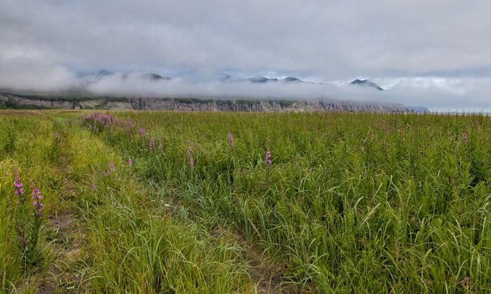 Kamchatka Peninsula Russia Foggy Mountains and Fields
