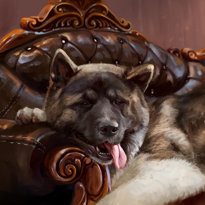 American Akita dog resting on a leather armchair