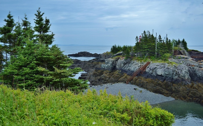 Rocky coastline with lighthouse and evergreen trees