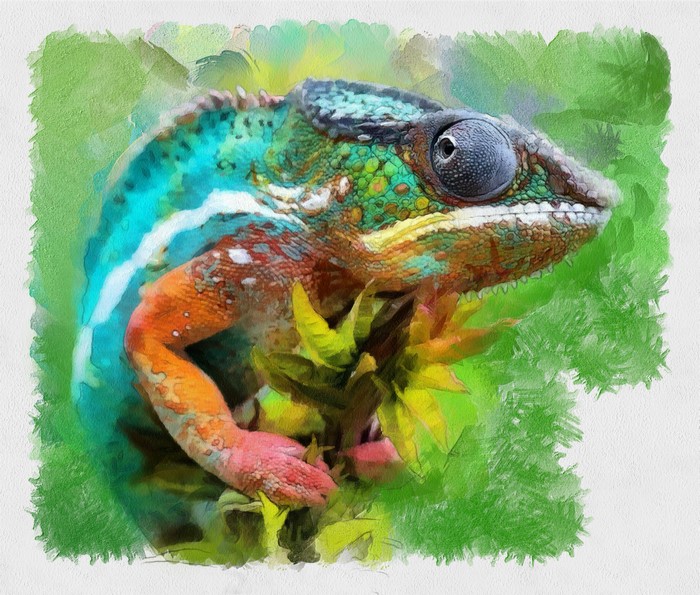 Painting of a Chameleon on a Branch