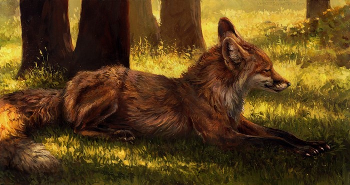 Painting of a fox resting in a sunlit forest