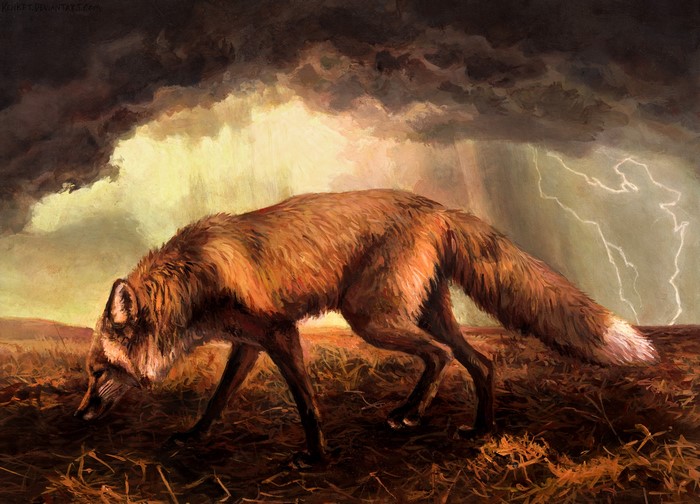 Fox in a stormy field with lightning