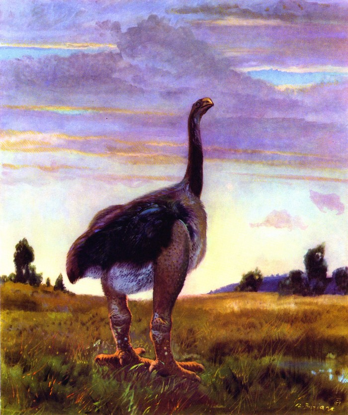 Euryapteryx elephantopus by Zdenek Burian