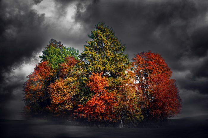 Autumn trees under dark stormy clouds