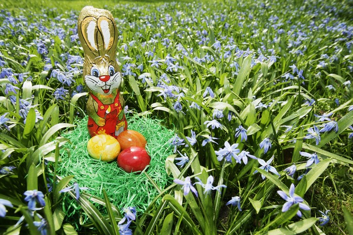 Easter Chocolate Bunny and Eggs in Flowers