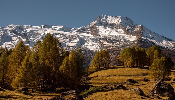 Autumn Trees and Snow-Capped Mountains in France
