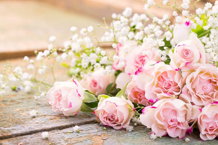 Pink Roses and Baby's Breath Flowers