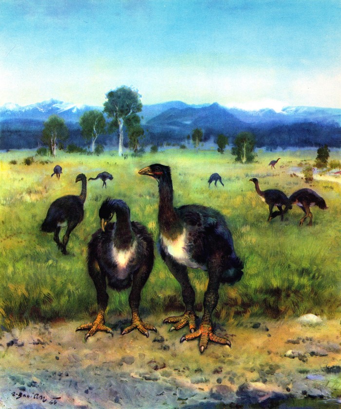 Moa birds in a prehistoric landscape by Zdenek Burian