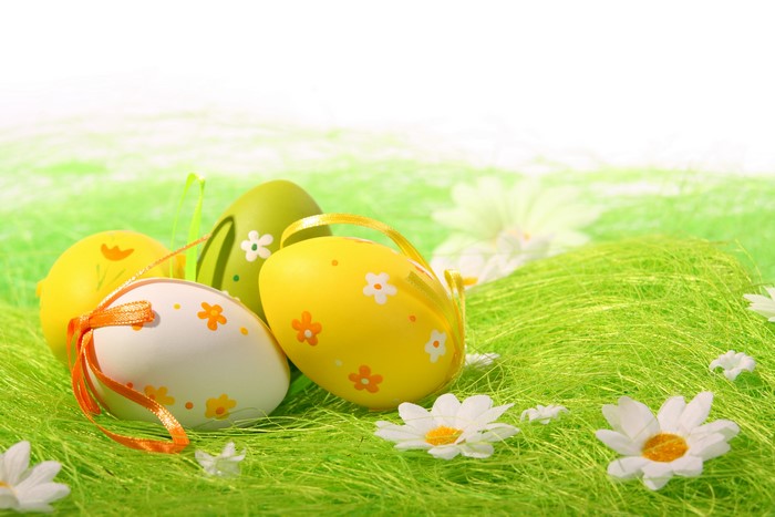 Easter Eggs with Camomiles on Green Grass