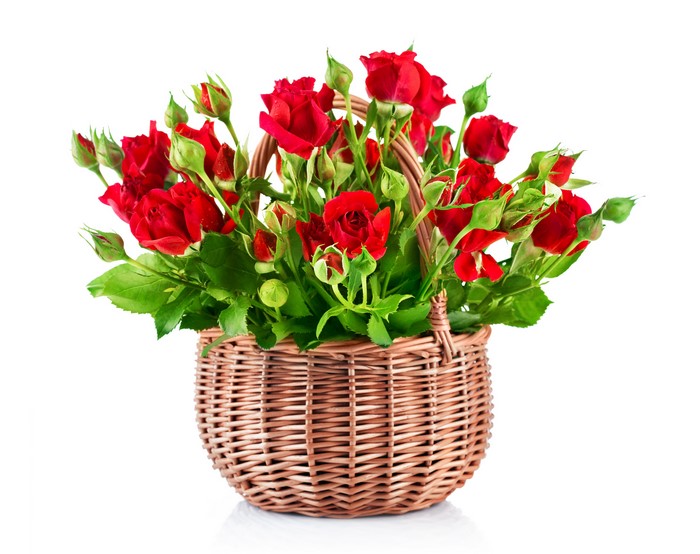 Red Roses in a Wicker Basket