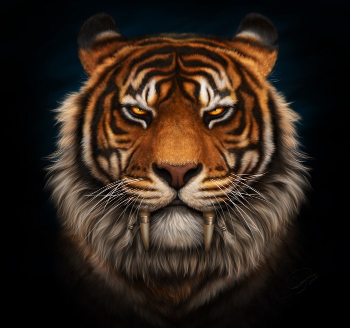 Tiger with saber-toothed fangs on black background