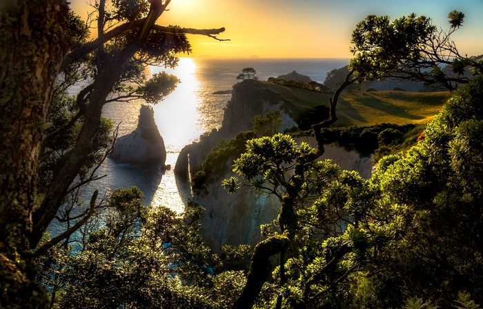 Sunset over the coast of Hahei, New Zealand