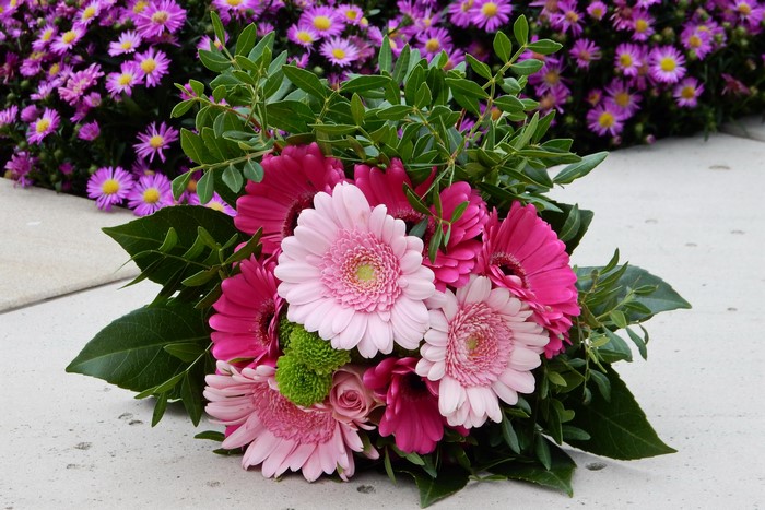 Bouquet of pink and magenta gerberas with green foliage