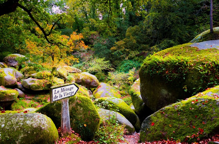 Forest with mossy stones and signpost in Huelgoat, France